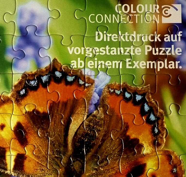 digitaldruck-puzzle-2