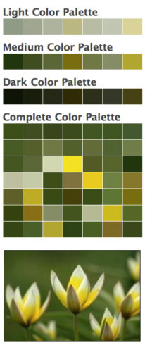 Farbpalette